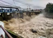 Hujan Deras di Bogor, Debit Air Ciliwung Naik, Jakarta Terancam Banjir