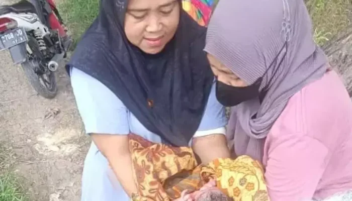 Petani Gresik Temukan Bayi Dibuang di Lahan Kosong, Polisi Lakukan Penyidikan