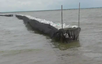 Pagar Laut Misterius di Laut Utara Tangerang: Dampak Negatif Bagi Nelayan dan Ekosistem