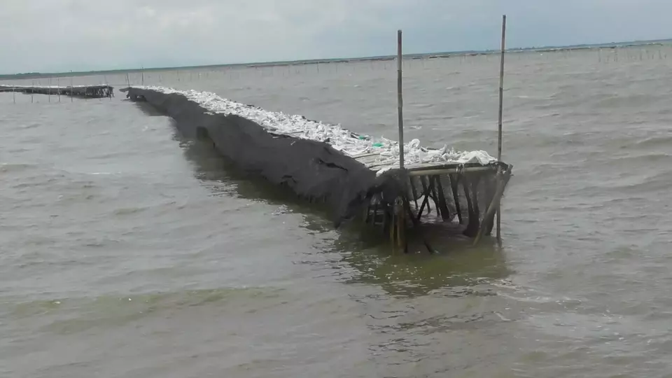 Image Credit Wawan Kurniawan/Beritasatu - Pagar bambu sepanjang 30 kilometer di laut utara Kabupaten Tangerang dikeluhkan nelayan karena mengganggu aktivitas mereka mencari ikan.