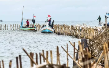 Misteri Pagar Laut Tangerang: Fakta Kepemilikan hingga Dugaan Keterkaitan dengan Grup Properti Raksasa