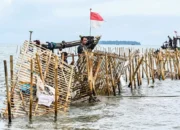 Image Credit Antara - Pemasangan pagar laut yang disertai penerbitan Sertifikat Hak Guna Bangunan (HGB) di perairan Kabupaten Tangerang, Banten, kini menjadi sorotan publik.