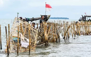 Image Credit Antara - Pemasangan pagar laut yang disertai penerbitan Sertifikat Hak Guna Bangunan (HGB) di perairan Kabupaten Tangerang, Banten, kini menjadi sorotan publik.