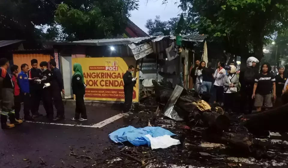 Image Credit Olena Wibisana/Beritasatu - Penjual angkringan tewas tertimpa pohon tumbang di Yogyakarta.