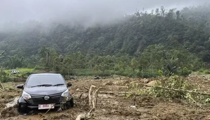 Tragedi Longsor Petungkriono: Korban Meninggal Bertambah Jadi 20 Orang