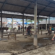 Image Credit Istimewa - Kondisi pasar hewan yang sepi akibat merebaknya penyakit mulut dan kuku (PMK) di Pasar Hewan Ambarawa (Pasar Pon), Kabupaten Semarang, Jawa Tengah, Senin, 6 Januari 2025.