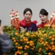 Image Credit Xinhua/Wang Shen - Pengunjung membuat video di Pekan Raya Tahun Baru Imlek di Taman Victoria, Hong Kong, China selatan, pada 23 Januari 2025.