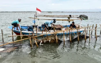 Image Credit Rivan Awal Lingga/Antara - Sejumlah nelayan membongkar pagar laut yang terpasang di kawasan pesisir Tanjung Pasir, Kabupaten Tangerang, Banten, Sabtu (18/1/2025).