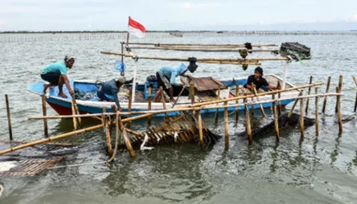 KKP Kerahkan 400 Personel untuk Bongkar Pagar Laut di Tangerang