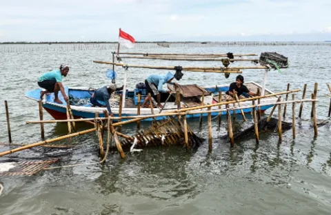 Image Credit Rivan Awal Lingga/Antara - Sejumlah nelayan membongkar pagar laut yang terpasang di kawasan pesisir Tanjung Pasir, Kabupaten Tangerang, Banten, Sabtu (18/1/2025).