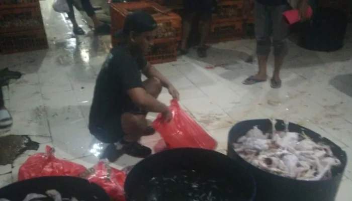 Polisi Tangkap Pembuat Ayam Gelonggongan di Pasar Kebayoran Lama