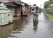 Image Credit Jmaah/Beritasatu - Warga Demak, Jawa Tengah, membawa motornya melintas genangan banjir, Sabtu 1 Februari 2025.