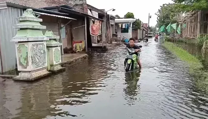 12.970 Pengungsi Banjir Demak Menjerit: Bantuan Tak Kunjung Datang!