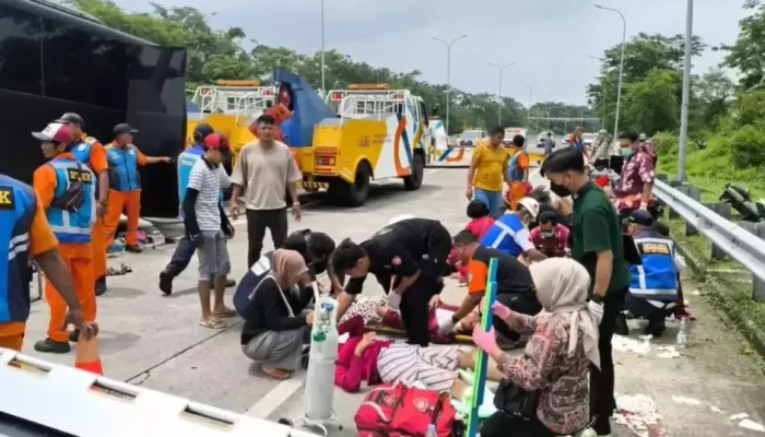 Kecelakaan Tragis Bus Brimob di Tol Pandaan-Malang: Dua Tewas, 7 Korban Dirawat