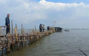 Pejabat Bappeda Kabupaten Tangerang Diperiksa Bareskrim Terkait Dugaan Pemalsuan Girik Pagar Laut