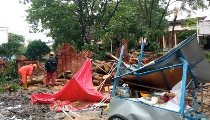 Hujan Deras dan Angin Kencang di Cirebon, Delapan Pohon Tumbang di Berbagai Lokasi