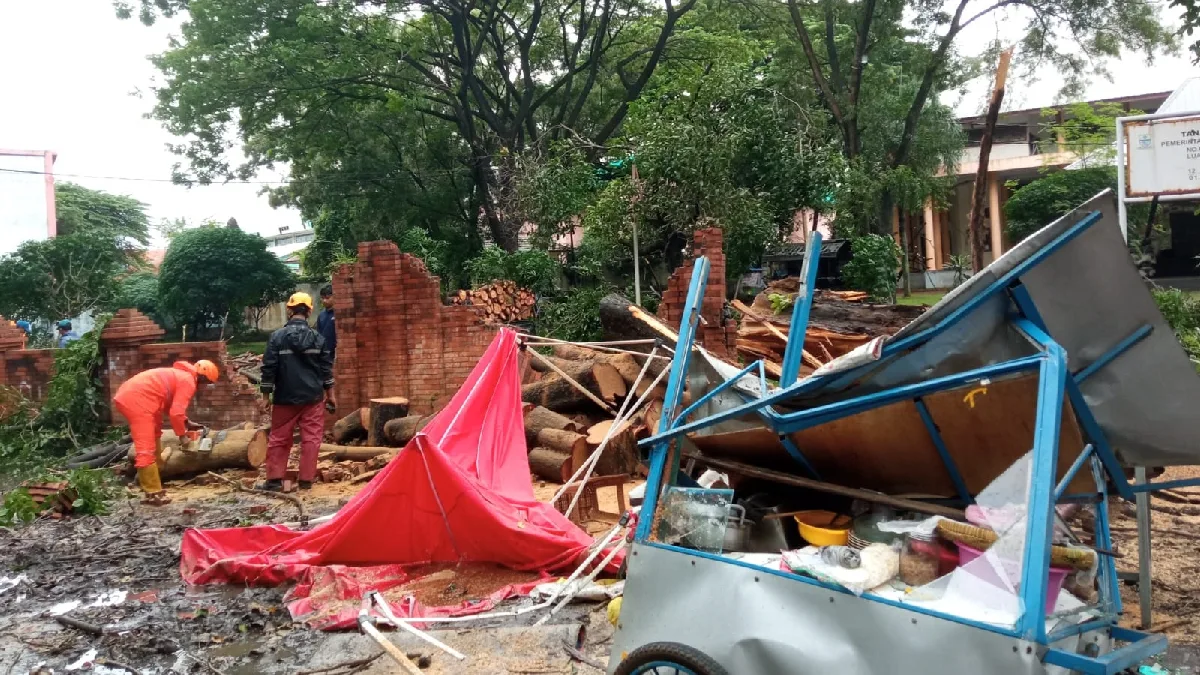 Image Credit Istimewa - Pohon yang tumbang di sekitar Gedung Rarasantang Bima, Kota Cirebon membuat bangunan dan tempat jualan mengalami rusak berat.