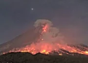 Image Credit Joko Laksono/Beritasatu - Guguran awan panas Gunung Merapi, Minggu 2 Februari 2025.