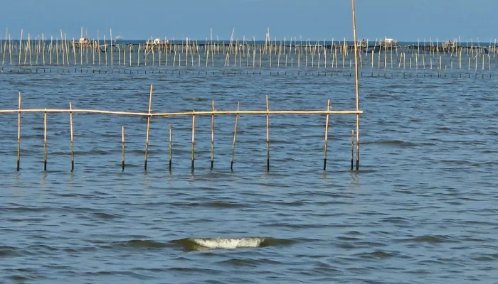 Pakar UGM Bongkar Pernyataan Zaki Iskandar Terkait Pagar Laut di Pesisir Pantai Utara Tangerang