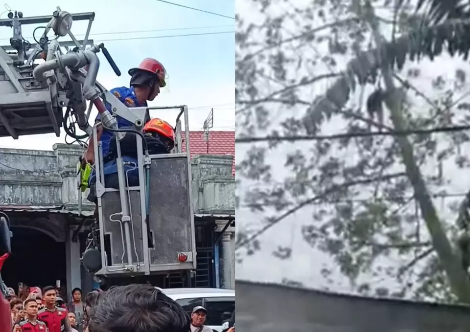 Image Credit Panji Satrio/Beritasatu - Pria tewas dan tergantung terkena gergaji mesin di Medan.