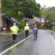 Image Credit Sopian Hadi/Beritasatu - Pohon tumbang akibat hujan disertai angin kencang di Desa Dharmasaba menutup akses jalan dari Badung ke Denpasar, Bali, Minggu (9/2/2025).