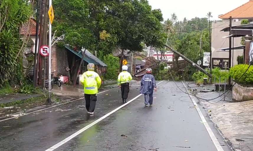 Image Credit Sopian Hadi/Beritasatu - Pohon tumbang akibat hujan disertai angin kencang di Desa Dharmasaba menutup akses jalan dari Badung ke Denpasar, Bali, Minggu (9/2/2025).