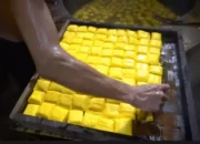 Harga Kedelai Melambung, Perajin Tahu di Kuningan Terancam Gulung Tikar