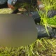 Mahasiswi Tewas Saat Panjat Tebing di Gunung Putri Bogor, Diduga Tertimpa Longsoran Batu
