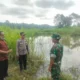Kapolsek Sedayu Kompol Slamet Subiyantoro bersama tim Inafis Polres Bantul, Babinsa Koramil Sedayu, PMI, dan perangkat desa melakukan olah TKP insiden anak tenggelam di bekas tambang pasir Bantul, Yogyakarta. (Beritasatu/Chandra Adi Nurwidya)