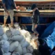 Direktorat Polisi Perairan dan Udara (Ditpolairud) Polda Kepulauan Bangka Belitung berhasil menggagalkan upaya penyelundupan 20 ton pasir timah kering yang akan dikirim ke Malaysia melalui jalur laut di Perairan Bangka Barat, Kamis, 15 Mei 2025. (Beritasatu/Irwan Setiawan)