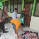 Heboh! Ratusan Bra Bekas Ditemukan di Gedung Sekolah Terbengkalai di Bojonegoro