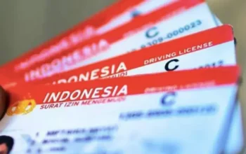 Surat Izin Mengemudi (SIM).(Dok. Korlantas)