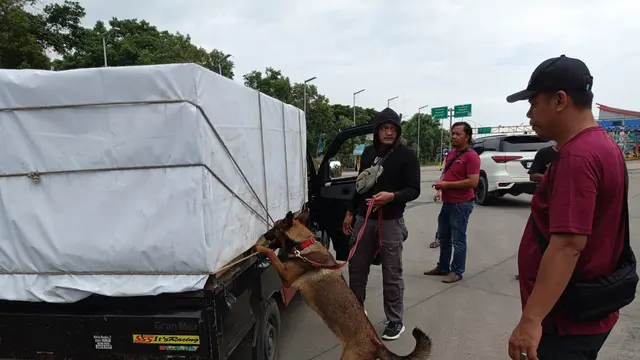 Barang bukti narkoba hasil Operasi Seaport Interdiction di Pelabuhan Bakauheni Lampung. (Merdeka/Bachtiarudin Alam)