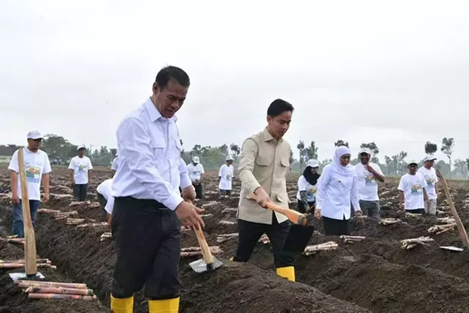Wakil Presiden Gibran Rakabuming Raka dan Menteri Pertanian Andi Amran Sulaiman menghadiri penananam tebu di Banyuwangi, Senin (23/6/2025). (Beritasatu/Theressia Silalahi)