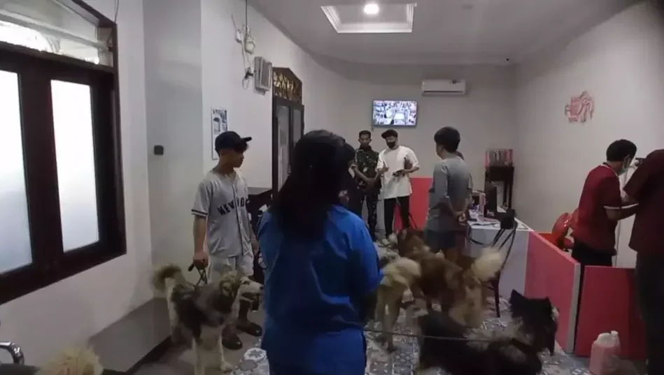 Rumah kos di Srabaya, Jawa Timur, diprotes warga karena menjadi tempat pembiakan anjing ras. (Beritasatu/Agung Dharma Putra)
