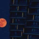 Strawberry Moon 2025: Fenomena Langit Langka Siap Hiasi Malam Indonesia