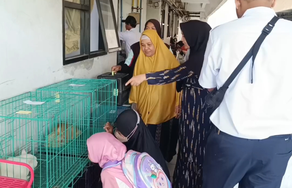 Kegiatan sterilisasi atau kebiri kucing di Rusun Marunda, Cilincing, Jakarta Utara, Rabu (30/7/2025). (Beritasatu/Yohannes Tohap Tobing)