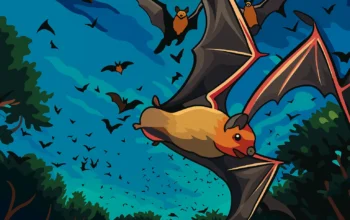 Ilustrasi - kelelawar.