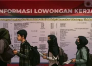 Ilustrasi - Pengangguran Sarjana di Indonesia Tembus 1 Juta.