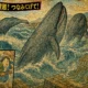 Ilustrasi - Empat paus besar ditemukan terdampar di sepanjang pantai Jepang hanya beberapa jam setelah gempa bumi berkekuatan magnitudo 8,7 di dekat Kamchatka, Rusia, Rabu 30 Juli 2025.