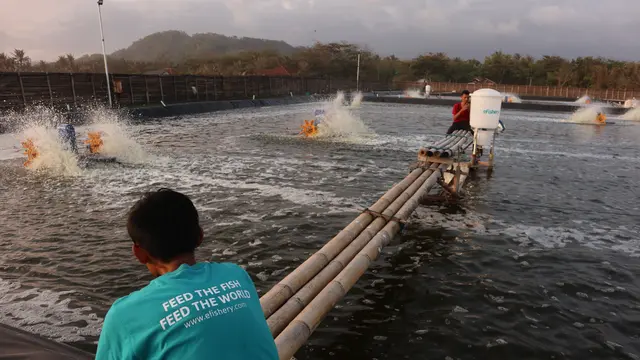 Start-up agritech Indonesia, eFishery meraih pendanaan seri C senilai USD 90 juta setara Rp 1,3 triliun.